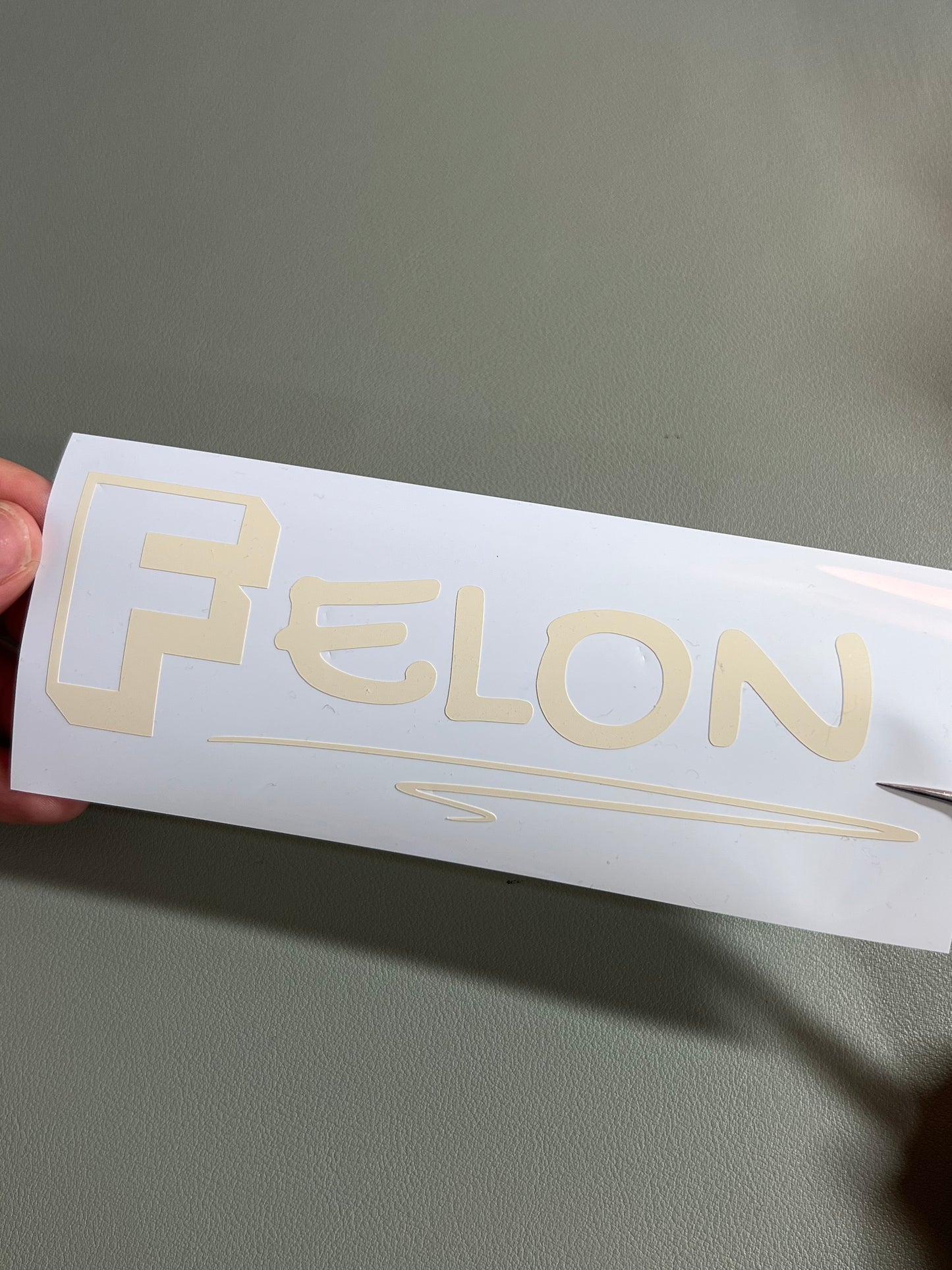 Felon Vinyl Sticker