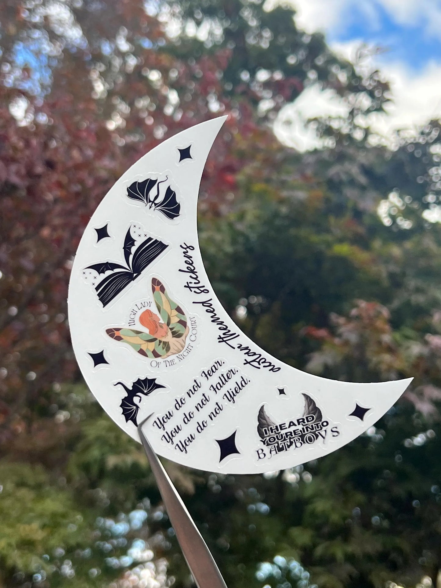 Romantasy Reader Vinyl Sticker Sheet